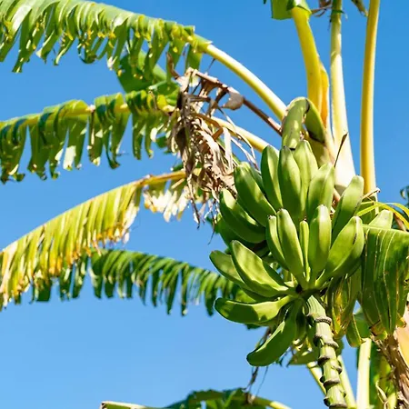 Villa Dei Gruccioni - Yourplace Abruzzo *