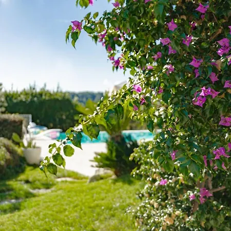 Dei Gruccioni - Yourplace Abruzzo Villa