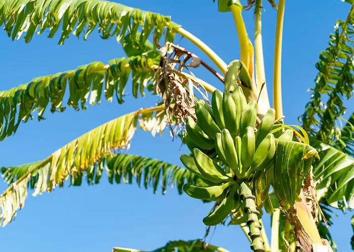 Villa Dei Gruccioni - Yourplace Abruzzo *